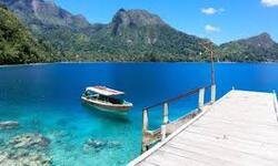 Marine Tour